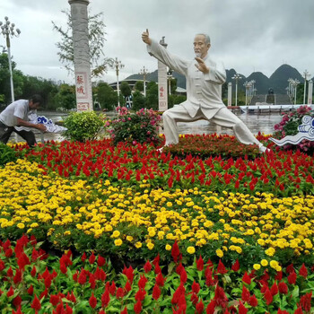隨州青州草花基地供應(yīng)基地,青州草花批發(fā)