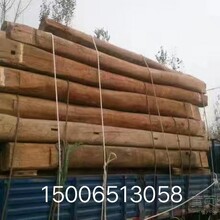 大量銷售批發老榆木板材_老榆木板材價格采購介紹圖片