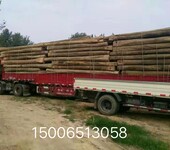 山东济南大量供应销售老榆木板材