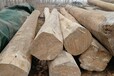 大刚木材老榆木板材,昭通大量批发老榆木方木