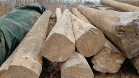南宁老榆木方木批发厂家,老榆木板材图片3