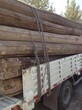大剛木材老榆木板材,南京老榆木方木多少錢一方圖片