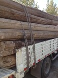 大刚木材老榆木板材,保定老榆木方木批发价格图片1