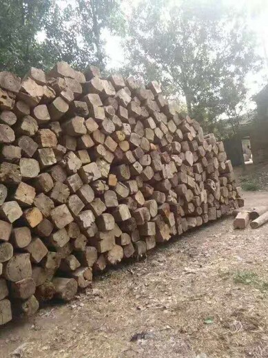 大刚木材老榆木板材,重庆批发山东老榆木多少钱一方