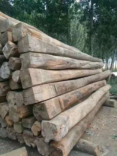 大刚木材老榆木梁,西双版纳老榆木原木生产厂家