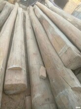 大刚木材老榆木板材,海南省直辖大量销售老榆木方木图片