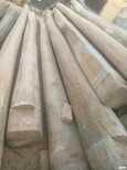 济宁老榆木方木批发厂家,老榆木板材图片4