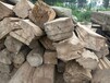 湘潭大量销售老榆木方木,老榆木板材