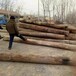 大剛木材老榆木板材,德宏老榆木方木生產廠家