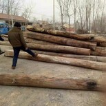 济宁老榆木方木批发厂家,老榆木板材图片5