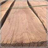 大刚木材老榆木板材,保定老榆木方木批发价格图片2