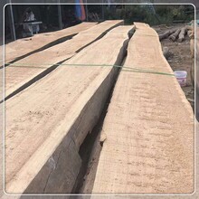 大剛木材直拼板,潮州老榆木板材生產廠家圖片