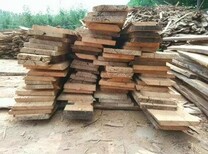 济宁老榆木方木批发厂家,老榆木板材图片3
