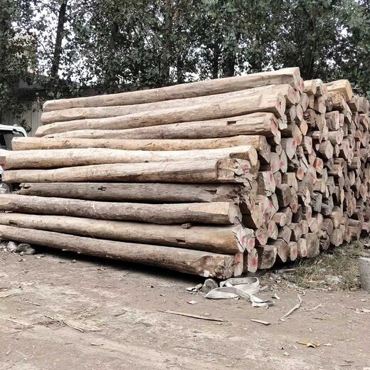 大刚木材老榆木原木,新疆博尔塔拉大量销售老榆木大梁
