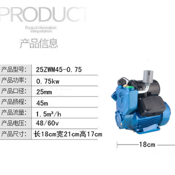 全自动家用自吸泵冷热水抽水泵微型水泵自来水增压泵220V静音智能水泵批发