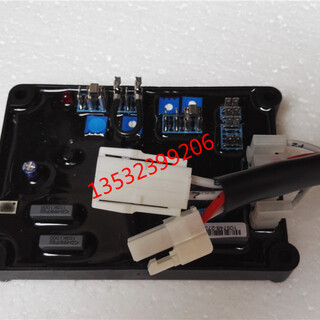 E000-14800，AS480斯坦福调节器，斯坦福AS480电压调节器图片3