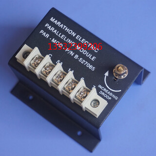 DVR2000E马拉松发电机数字式调压器AVR自动电压调节器图片5
