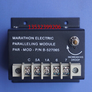 DVR2000E马拉松发电机数字式调压器AVR自动电压调节器图片3