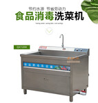 配送中心专供消毒洗菜机1.2米洗菜机