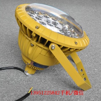 HRD91LED免维护防爆灯20W-100WLED防爆平台灯防爆LED泛光灯