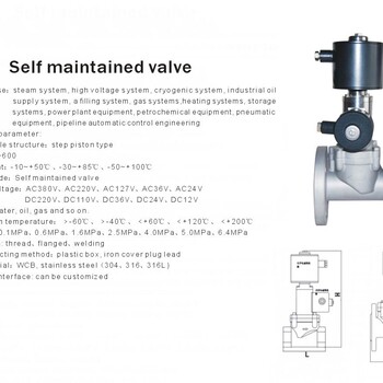 进口自保持电磁阀-进口高压自保持电磁阀