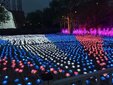 玫瑰花海展出租多色玫瑰花海展租赁图片