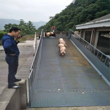 移动卸猪台固定剪叉式上猪台转猪升降机导猪平台赶猪通道卖猪台