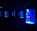 海洋生物海洋展出租2017海狮海洋展租赁