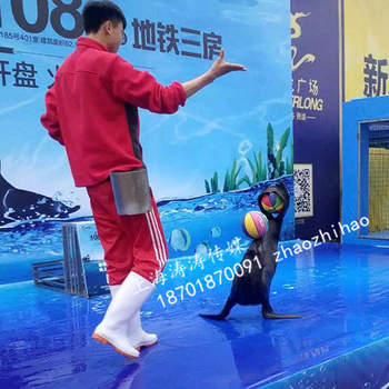 海洋魚缸展出租海洋景觀生物展覽海洋展租賃