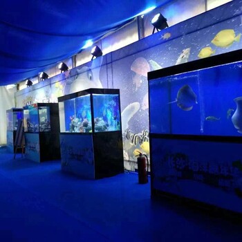 萌宠海狮表演大型海洋展租赁新奇观赏鱼类出租