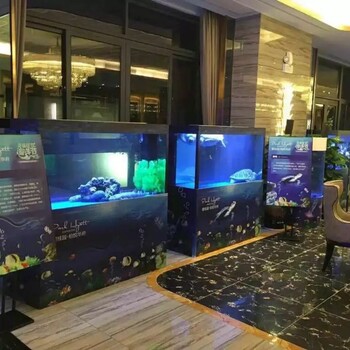 景观企鹅主题展览2020海洋生物展出租企鹅展租赁