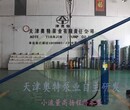 细流量高扬程多级304叶轮耐高温井用潜水泵图片