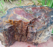 树化玉原石在线鉴定评估