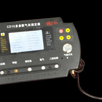 CD10便捷式多功能气体检测报警仪