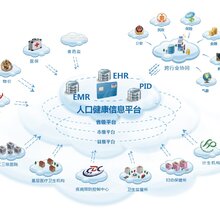 青州人口增长_中国人口增长图(3)