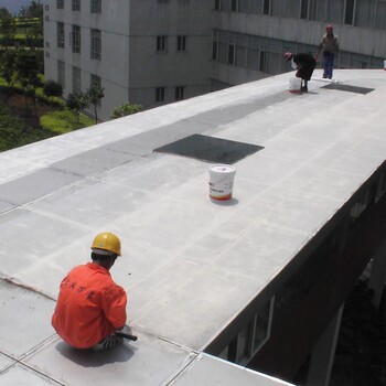 苏州园区玲珑镇防水承接各种防水补漏工程,价低服务好