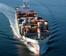 国际海运出口费用，中国海运出口澳洲门到门服务