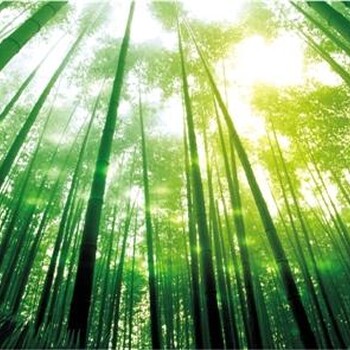 2018中国林业产业联合会发布西部林产业展