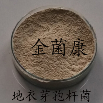 地衣芽孢桿菌改善土壤微生態(tài)環(huán)境，促進(jìn)土里結(jié)構(gòu)形成