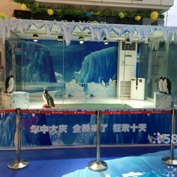 水母出租暖场活动主题展海洋展海狮表演才艺租赁