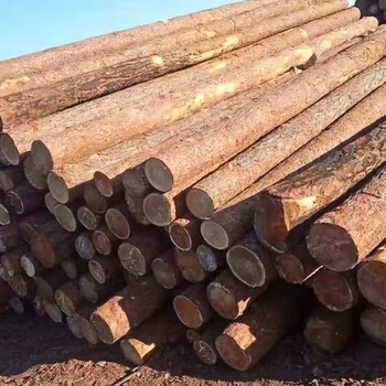 俄罗斯–二连原木，板材进口代理清关
