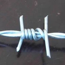热镀锌刺绳刺丝PVC刺绳刺绳护栏网刺绳防护网