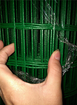 安平廠家批發(fā)荷蘭網(wǎng)電焊網(wǎng)涂塑荷蘭網(wǎng)波浪護(hù)欄網(wǎng)