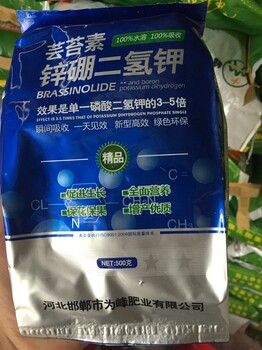 胖墩葉菜沖施肥微量元素蔬菜茄子葉菜葉面肥