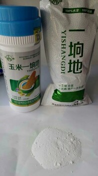 玉米不結(jié)棒看看是不是這五個原因河北為峰肥業(yè)提示