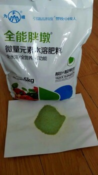 茄子落花落果7大原因胖墩茄子沖施肥