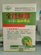 玉米空桿不結(jié)籽禿尖用全能胖墩玉米控旺營養(yǎng)葉面肥圖片
