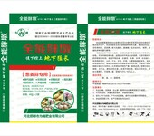 葱姜蒜专用叶面肥葱姜蒜膨大叶面肥全能胖墩叶面肥