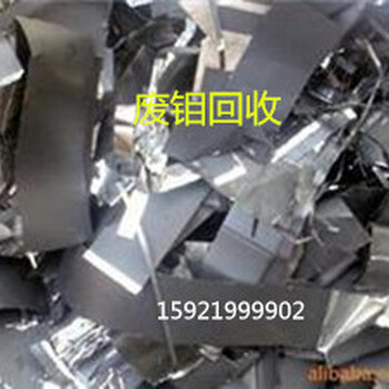 废钨钢回收头条上海回收钨钢信誉好评