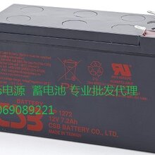 正品EAST易事特12V100AH铅酸蓄电池NP100-12型号图片